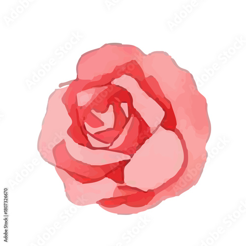 watercolor summer isolated on white background