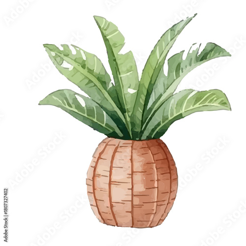 watercolor plants, flower pots. and drawn watercolor daffodils, narcissus grow in clay vase, spring Easter illustration 