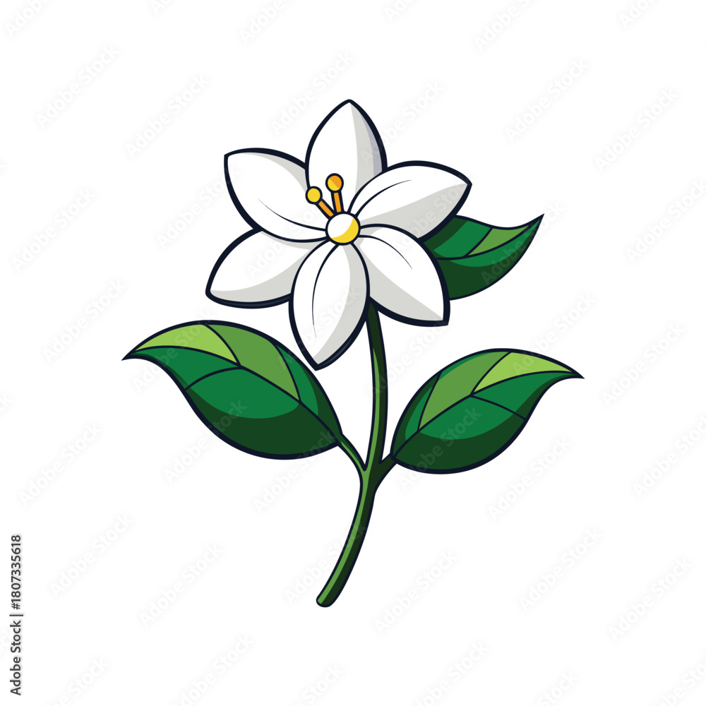 Naklejka premium Cartoon white flower with green leaves and yellow center