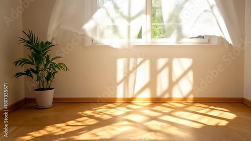 Sunlight streaming into a bright room with a green plant and sheer curtains blowing gently