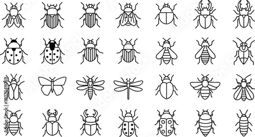 Large Collection of Minimalist Insect and Bug Vector Outline Icons Set for Nature, Ecology, and Scientific Graphic Design