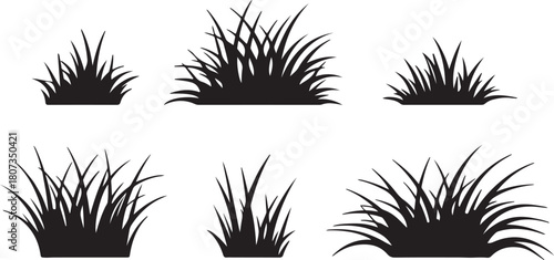 Six black clumps of grass displayed over a white background provide botanical elements