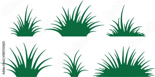 Six green grass clumps offer diverse botanical shapes against a transparent backdrop beautifully