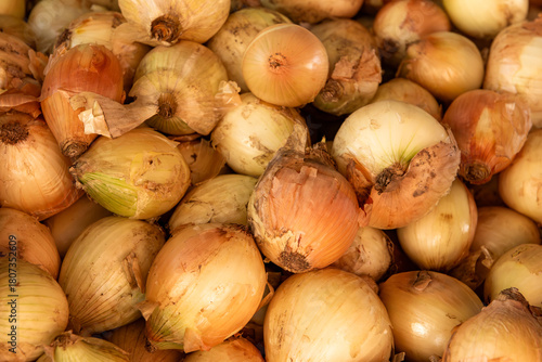 Fresh white onions displayed at a vibrant Kenyan market stall