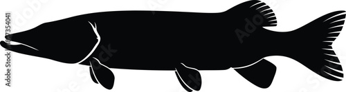 Muskie fish silhouette icon