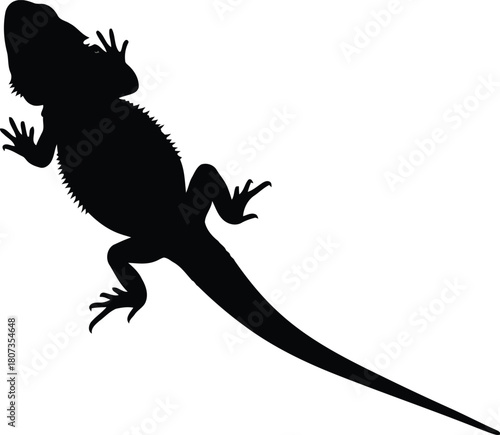 Bearded dragon silhouette reptile animal graphic
