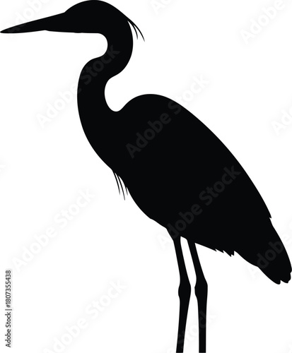 Silhouette of a heron standing against a white background