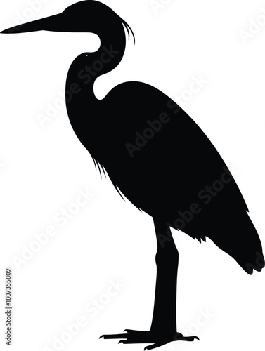 Heron silhouette standing isolated on white background