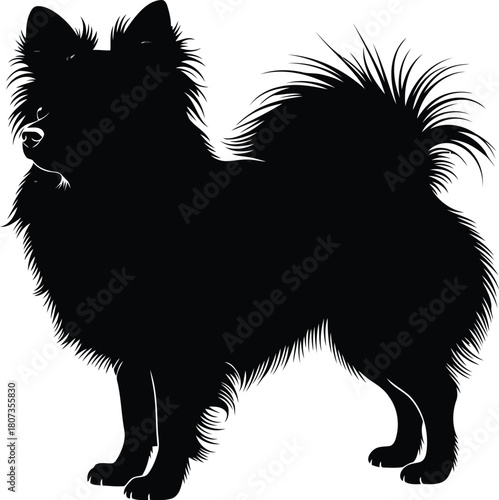 Black silhouette of a fluffy dog standing on a white background