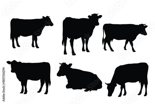 Set of Cow Silhouettes in Various Poses