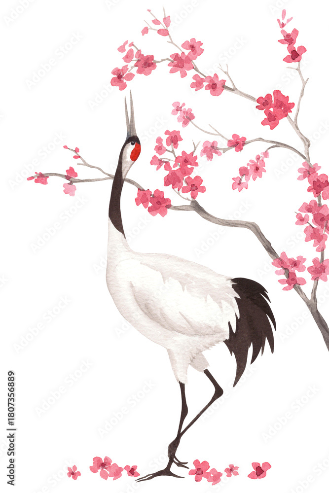 Obraz premium Dancing japanese red-crowned crane with the sakura on background. Watercolor handmade illustration. For fabric, wallpaper, greeting cards, design, decoration and illustration.