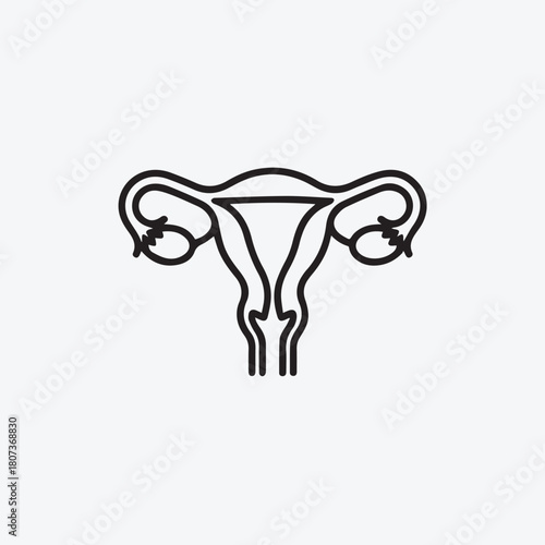 Uterus and Ovaries Minimalist Line Art Icon for Female Reproductive Health