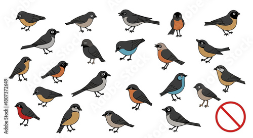 set of birds in flight