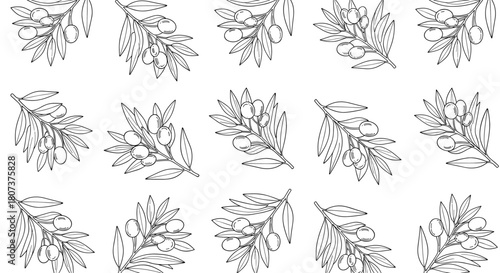 Minimalist seamless pattern of olive tree branches with leaves and olives in black and white.