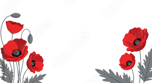 Beautiful decorative background or border design featuring vibrant red poppy flowers with long stems.