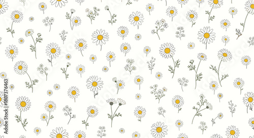 Simple seamless floral pattern with hand-drawn daisy or chamomile flowers on a beige background.