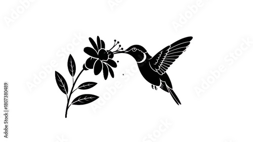 Hummingbird and Flower: A striking silhouette of a hummingbird delicately poised, its beak extended to a blooming flower, symbolizing the beauty of nature.