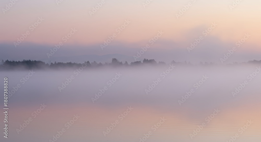 Fototapeta premium Tranquil water surface reflects soft pastel colors during a heavily misty sunrise or sunset over a distant tree line.