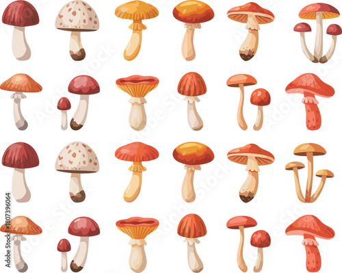 vMushroom illustrations, stylized fungi, forest vector, botanical design, nature elements, fantasy style, wild species, edible shapes, artwork