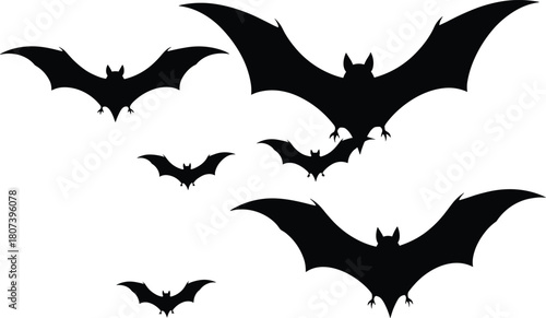 Flying bat silhouettes, spooky vector, black illustration, Halloween theme, nocturnal creatures, wing shapes, minimal design, horror art, graphic set