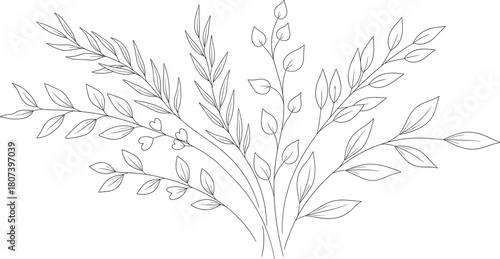 Botanical line art, stylized plant stems, whimsical leaf illustration, heart accent drawing, black and white nature design, decorative floral sketch.
