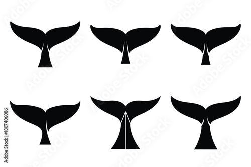 whale tail of the modern vector silhouettes animals icon collection