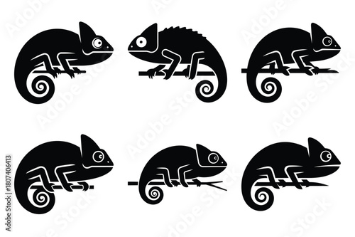 chameleon of the modern vector silhouettes animals icon collection