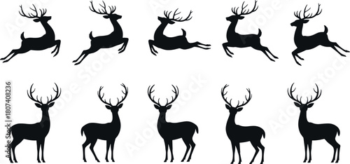 Silhouette of reindeer in different poses isolated on white background