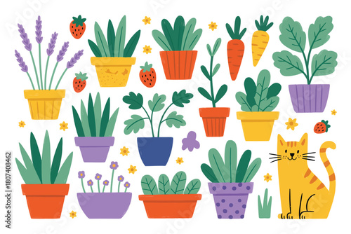 Collection of potted plants and a cute cat illustration