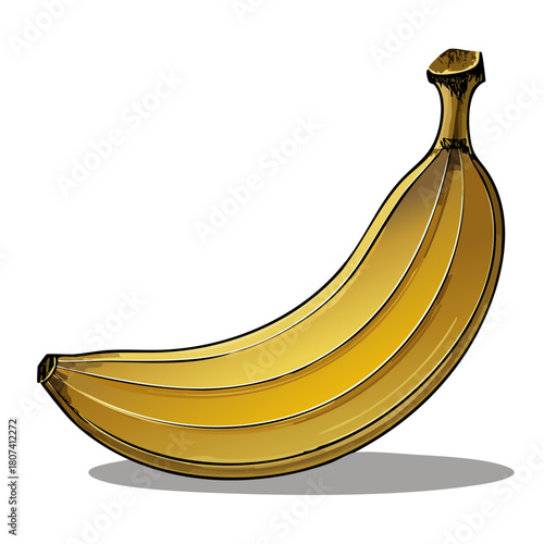 Detailed Botanical Banana Illustration Vector Art
