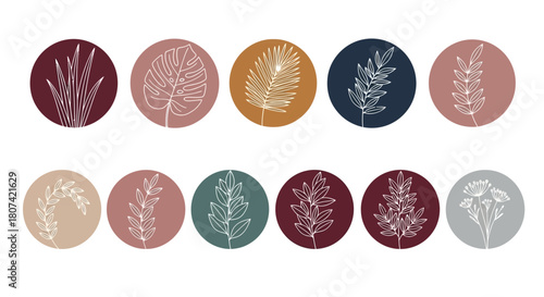 Botanical elegance a sleek line art collection of nature-inspired icons featuring diverse plant and leaf illustrations, ideal for digital design and social media stories