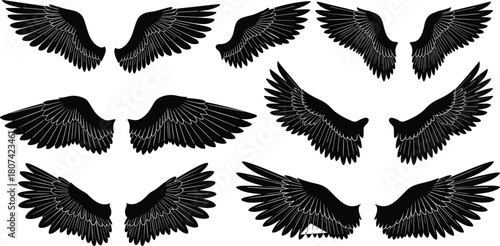 Black angel and bird wings collection silhouette vector illustration set isolated on white background for design