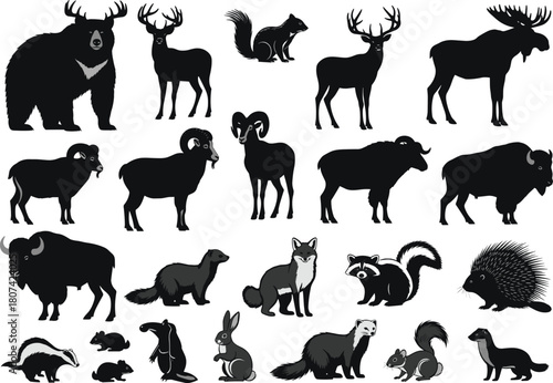 North American forest and woodland animals set, includes bear deer bison rabbit fox badger, wildlife nature vector graphic illustration collection