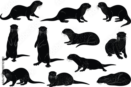 River Otter Animal Silhouette Vector Set, Cute Mammal in Various Poses, Wildlife Drawing, Nature, Cartoon Style, Fauna Collection, Black Icon.