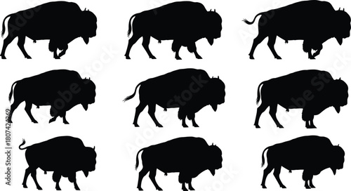 Set of Majestic American Bison Silhouettes, Buffalo Walking and Standing in Various Poses, Vector Illustration for Wildlife and North American Nature.