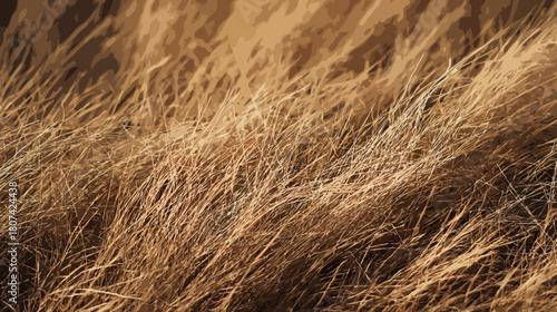 Dry grass illustration