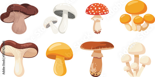 Mushroom illustrations, colorful fungi, nature vector, botanical design, forest elements, edible shapes, fantasy style, wild mushroom artwork