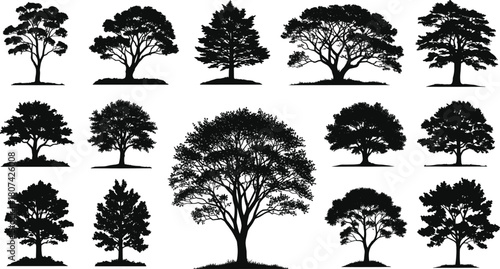 Tree silhouettes, botanical shapes, black vector, foliage forms, nature design, minimal style, graphic set, landscape icon, plant elements