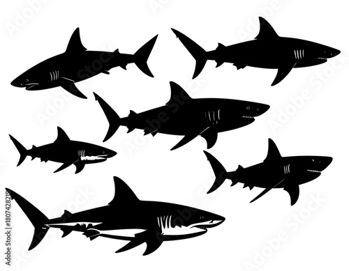 illustration vector hand drawn sillhouete set shark  black and white 