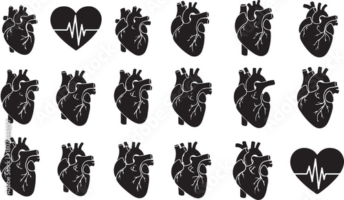 Collection of anatomical heart illustrations on