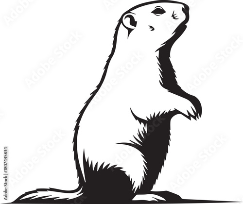 Whimsical groundhog standing tall looking upwards drawing with textured fur detail