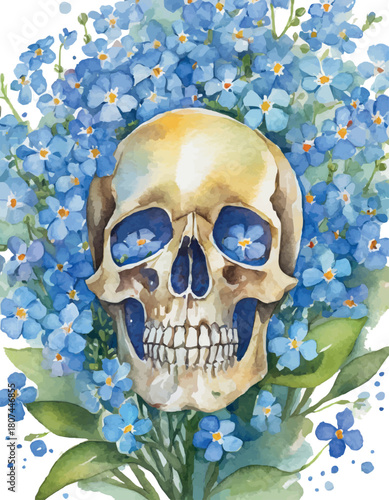 White skull in a wreath of blue forget-me-not flowers, watercolor work.