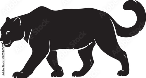 Majestic black panther silhouette gracefully striding with powerful build and alert stance