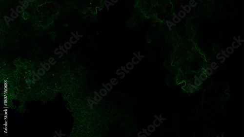Ultra-Dark Abstract Green Caustic Texture With Minimalist Black Background with Faint Electric Lime Glow for Horror, Gaming UI & Mysterious Digital Design