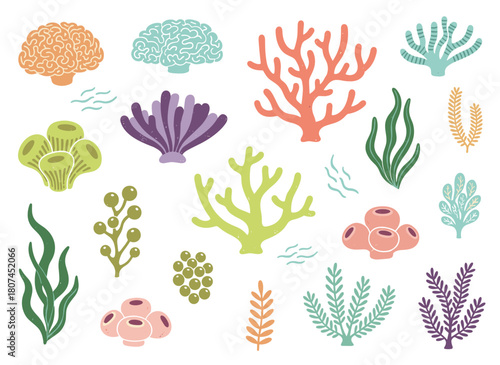 A flat, colorful illustration featuring a collection of diverse corals, seaweed, and algae set against a white background, showcasing beautiful underwater species, deep‑sea creatures, and aquatic or