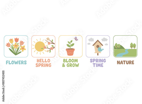 Set of square floral cards featuring cute nature postcard templates with spring blooms and leaves, minimal botanical backgrounds showcasing field plants and wildflowers, rendered in colored flat