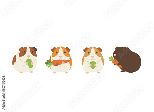 A set of humorous guinea pig characters enjoying food, featuring cute fluffy cavies and baby rodents, rendered as adorable kawaii comic pets with vegetables and leaves, presented as a flat vector