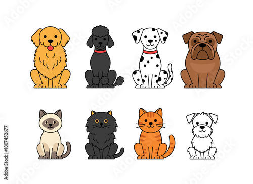 A flat vector illustration on a white background depicts dogs and cats from front and rear angles, tails visible, grouped in a line to represent various pet breeds with a horizontal border