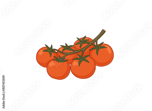 Fresh cherry tomatoes growing on a branch, small red vegetables on a food plant, representing organic natural raw veggies and healthy eating, depicted as a flat vector illustration on a white