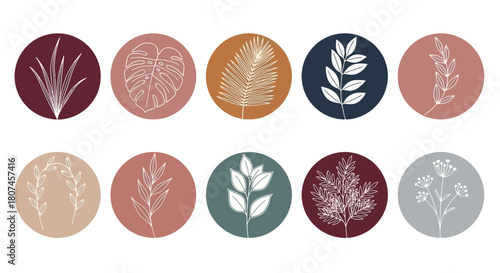 Modern minimalist set of botanical line art highlight covers. A sleek collection of hand-drawn plants and leaves for social media design